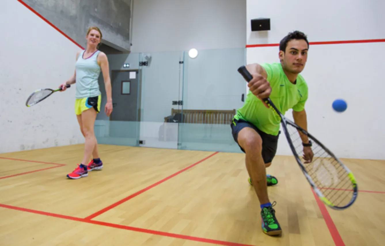 Terrain Squash 2