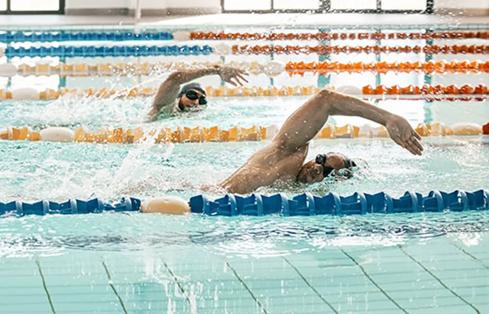 Natation adultes